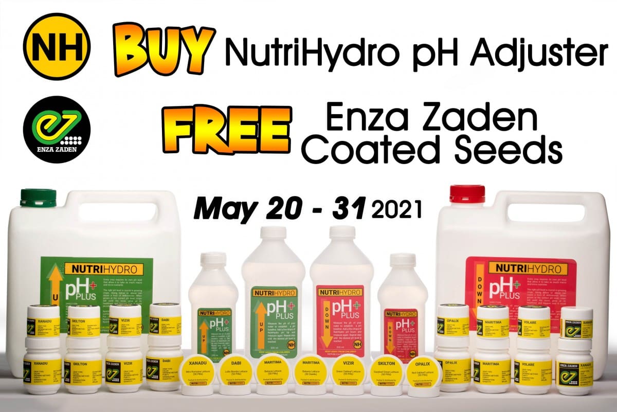 PROMO Free Enza – Buy PH Promo digital file WHITE