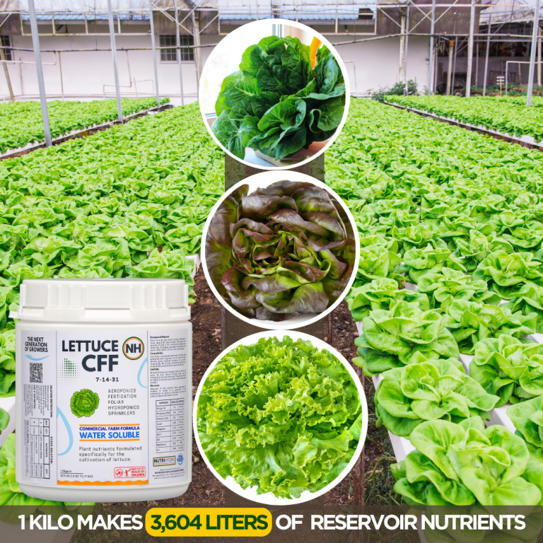 Our Strive for Superiority and Efficiency; NutriHydro Lettuce CFF Makes 3,604 Liters of Reservoir Nutrient @‌600 ppm