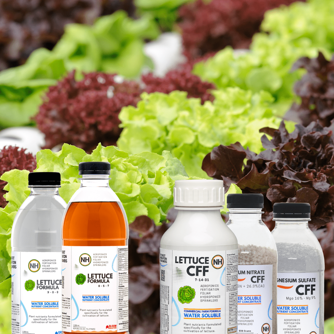 Choosing the Right Plant Nutrient Solution Liquid vs. Powder Form