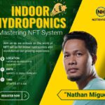Indoor Hydroponics: Mastering NFT System