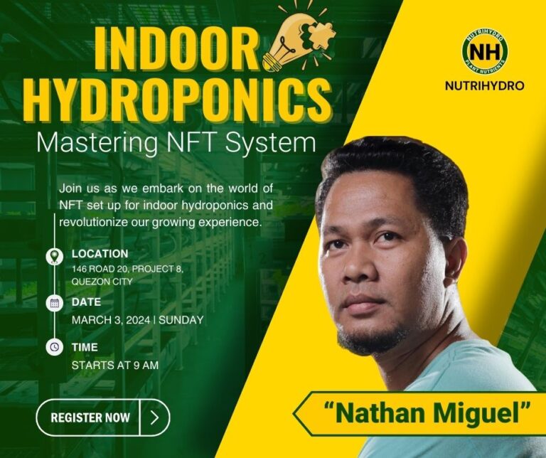 Indoor Hydroponics: Mastering NFT System