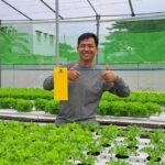 Cultivating Green Innovation: Drip Fertigation System Optimization