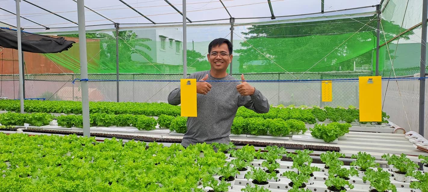 Fertigation Methods Cultivating Green Innovation: Drip Fertigation System Optimization ...